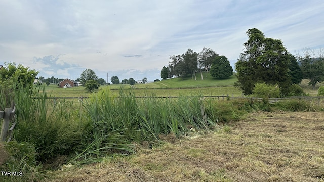 202 Eidson Ln, Rogersville, TN 37857 - photo 99
