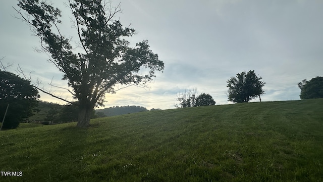 202 Eidson Ln, Rogersville, TN 37857 - photo 2
