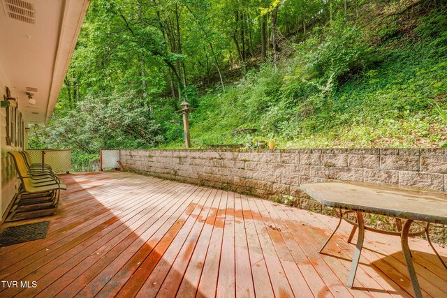 102 Hidden Valley Rd, Bristol, TN 37620 - photo 38