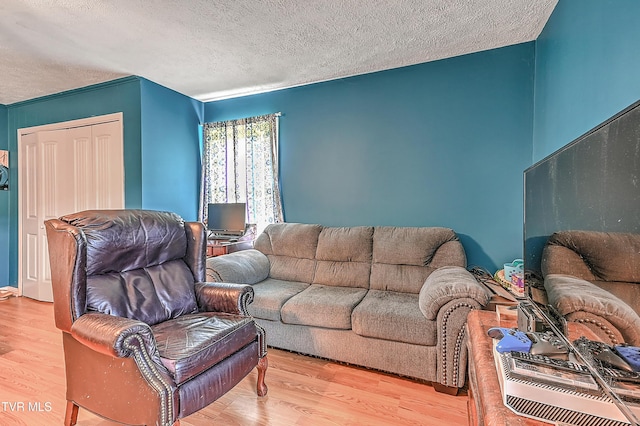 481 Pleasant Hill Rd, Blountville, TN 37617 - living area featuring a textured ceiling and wood finished floors