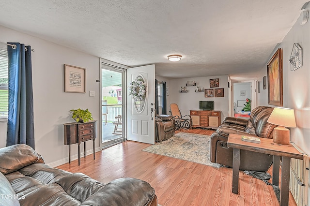 481 Pleasant Hill Rd, Blountville, TN 37617 - living area featuring light wood-style floors, a textured ceiling, and baseboards