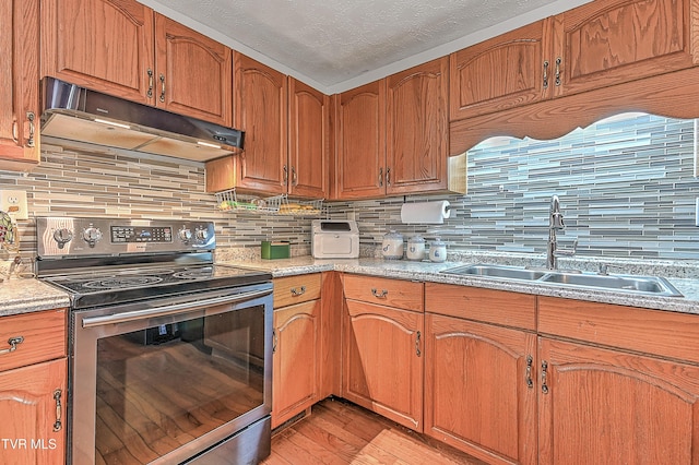 481 Pleasant Hill Rd, Blountville, TN 37617 - kitchen featuring electric range, under cabinet range hood, a sink, light wood-style floors, and backsplash