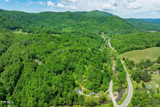 402 Crabtree Rd, Roan Mountain, TN 37687 - drone / aerial view of a forest and mountains