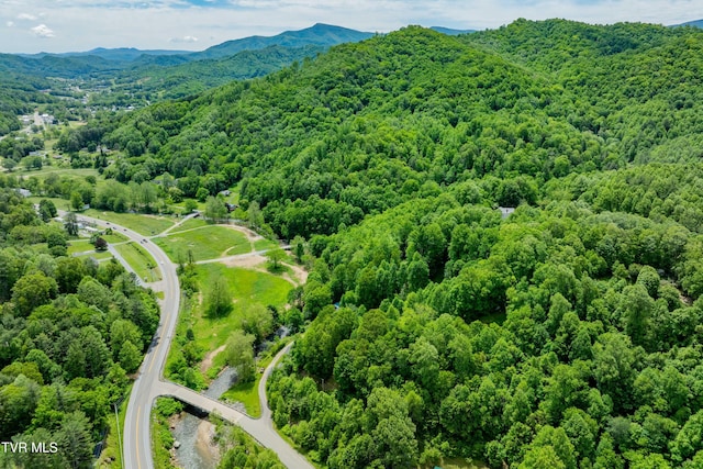 402 Crabtree Rd, Roan Mountain, TN 37687 - drone / aerial view of a forest and mountains