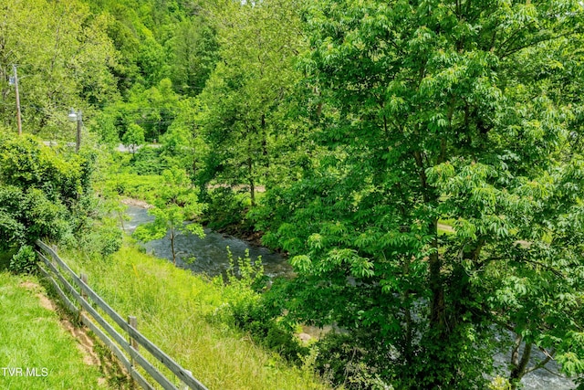 402 Crabtree Rd, Roan Mountain, TN 37687 - aerial view