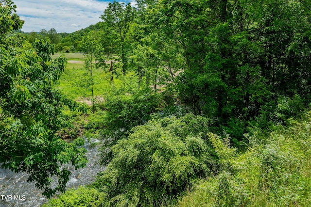 402 Crabtree Rd, Roan Mountain, TN 37687 - view of wooded area