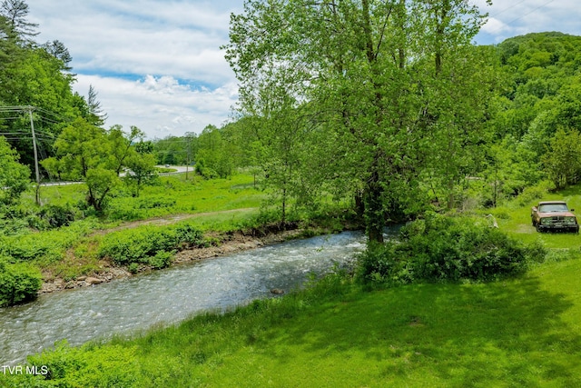 402 Crabtree Rd, Roan Mountain, TN 37687 - water view