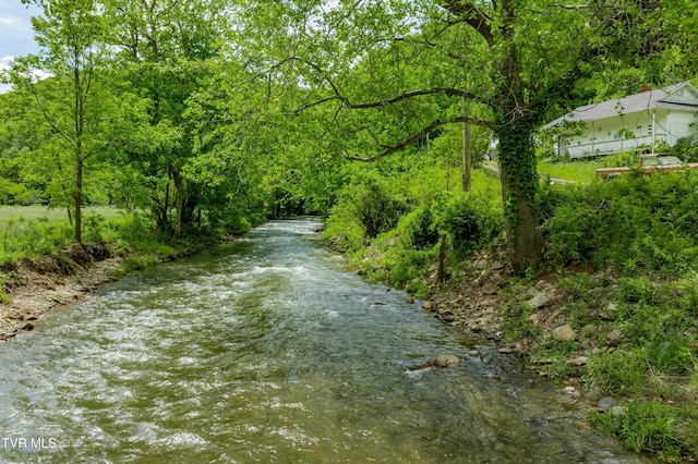 402 Crabtree Rd, Roan Mountain, TN 37687 - view of road with a forest view