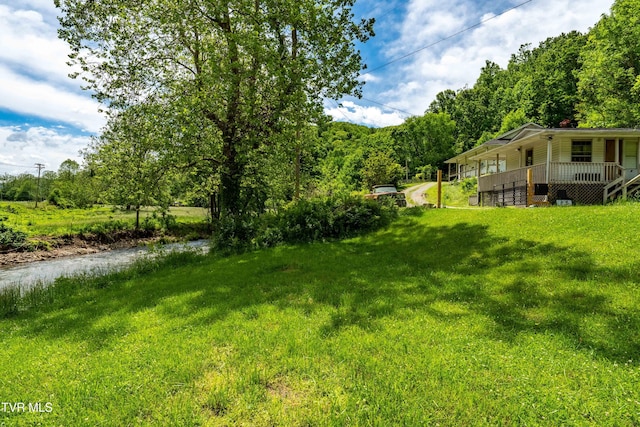 402 Crabtree Rd, Roan Mountain, TN 37687 - view of green lawn featuring a porch