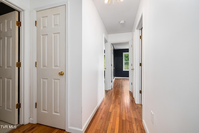 402 Crabtree Rd, Roan Mountain, TN 37687 - hallway featuring light wood finished floors and baseboards