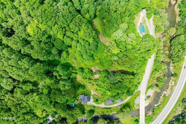 402 Crabtree Rd, Roan Mountain, TN 37687 - aerial overview of property's location