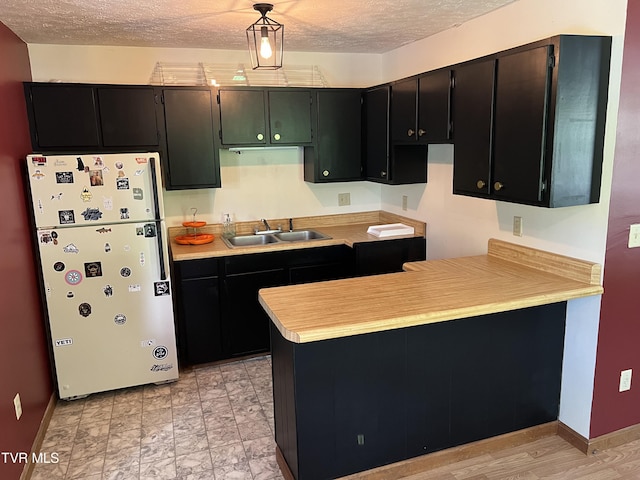 402 Crabtree Rd, Roan Mountain, TN 37687 - kitchen featuring freestanding refrigerator, a sink, dark cabinets, a peninsula, and baseboards