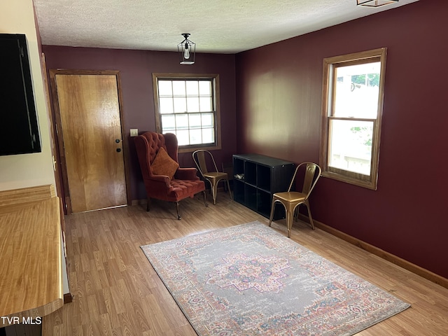 402 Crabtree Rd, Roan Mountain, TN 37687 - living area with wood finished floors, a textured ceiling, and baseboards