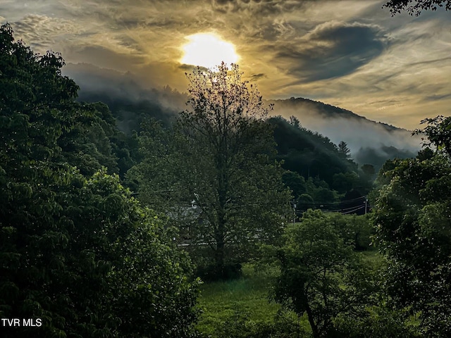 402 Crabtree Rd, Roan Mountain, TN 37687 - mountain view featuring a large body of water