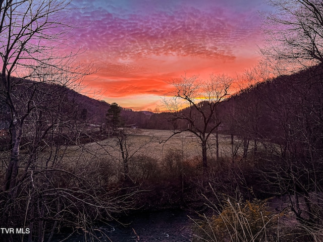 402 Crabtree Rd, Roan Mountain, TN 37687 - view of mountain background