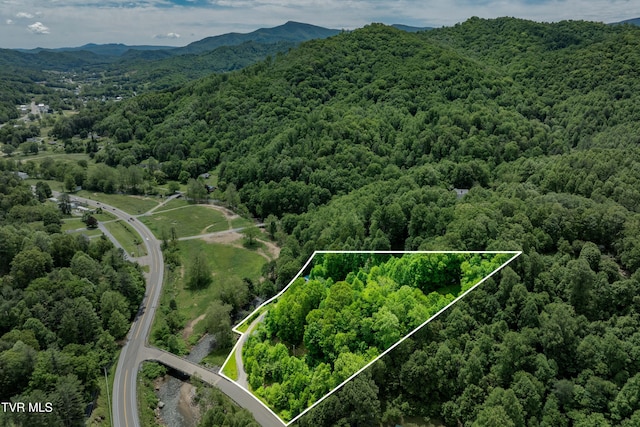 402 Crabtree Rd, Roan Mountain, TN 37687 - aerial view of property's location featuring a heavily wooded area, property boundaries highlighted, and mountains