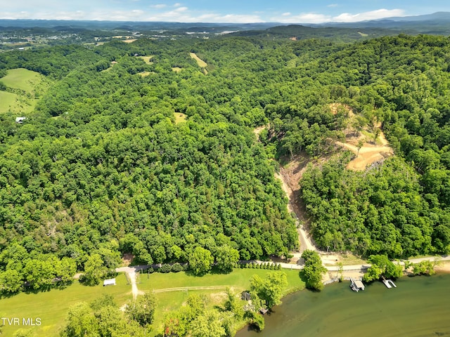 760 Herb Hodge Rd, Johnson City, TN 37601 - photo 2