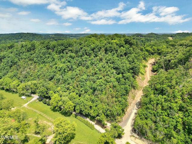 760 Herb Hodge Rd, Johnson City, TN 37601 - photo 3