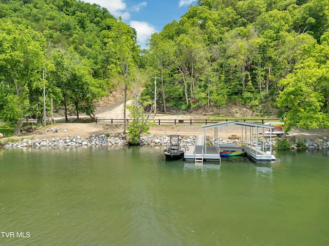 760 Herb Hodge Rd, Johnson City, TN 37601 - photo 1