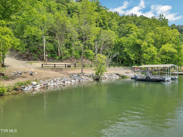 760 Herb Hodge Rd, Johnson City, TN 37601 - photo 5