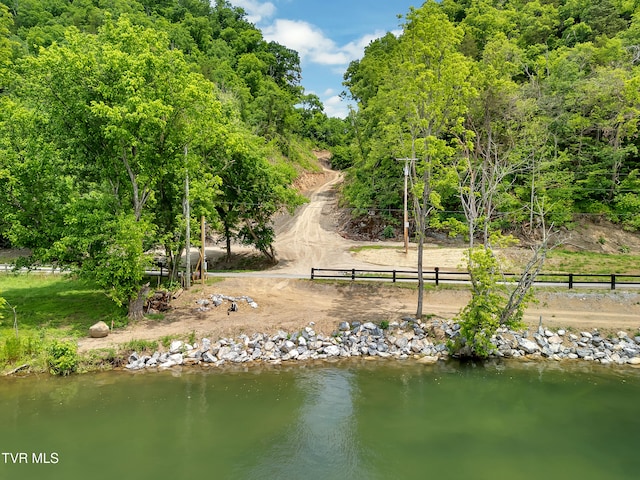 760 Herb Hodge Rd, Johnson City, TN 37601 - photo 6