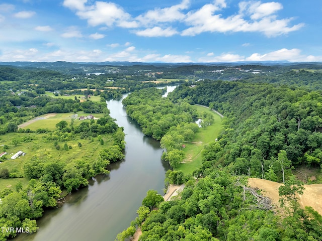 760 Herb Hodge Rd, Johnson City, TN 37601 - photo 7