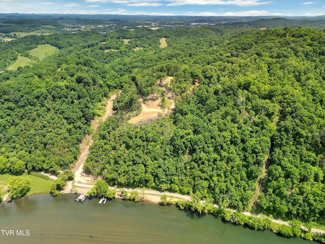 TBD Herb Hodge Rd, Johnson City, TN 37601 - photo 2