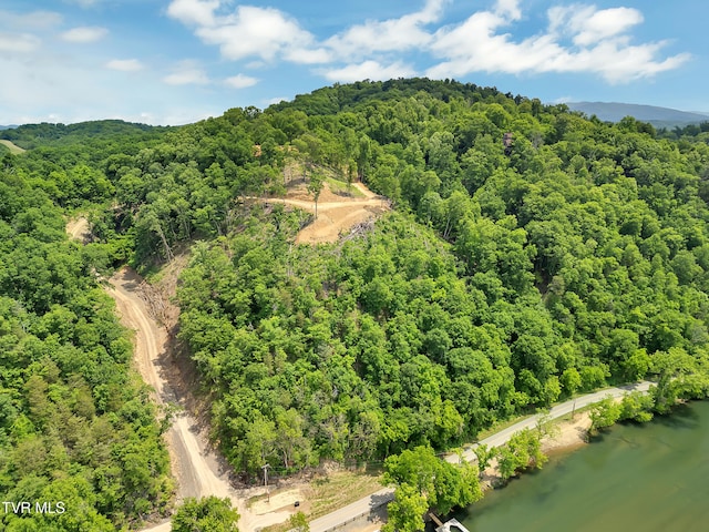 TBD Herb Hodge Rd, Johnson City, TN 37601 - photo 3
