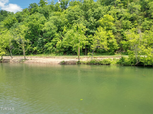 TBD Herb Hodge Rd, Johnson City, TN 37601 - photo 4