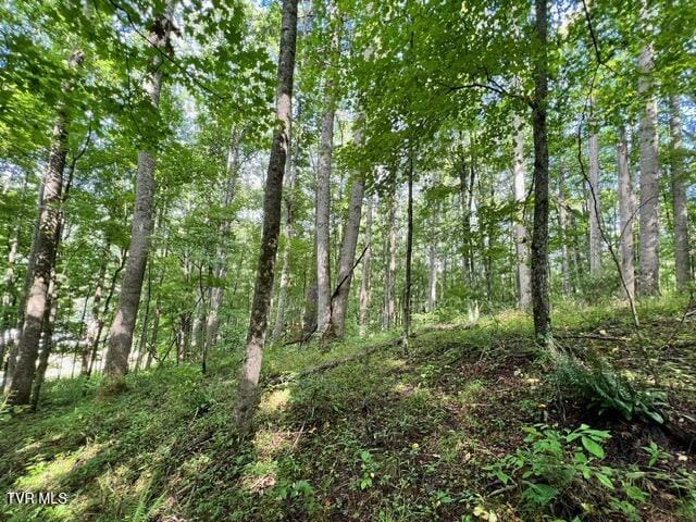 337 Heaton Creek Rd, Roan Mountain, TN 37687