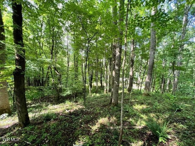 337 Heaton Creek Rd, Roan Mountain, TN 37687