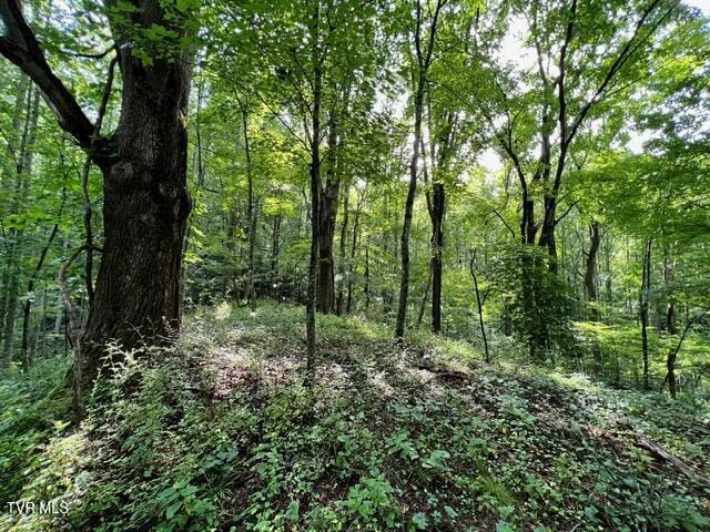 337 Heaton Creek Rd, Roan Mountain, TN 37687