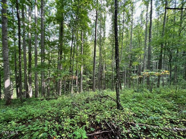 337 Heaton Creek Rd, Roan Mountain, TN 37687