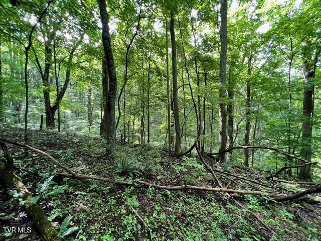337 Heaton Creek Rd, Roan Mountain, TN 37687