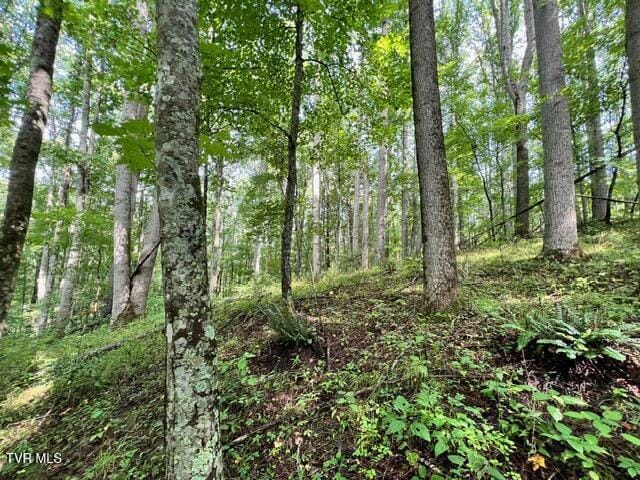 337 Heaton Creek Rd, Roan Mountain, TN 37687