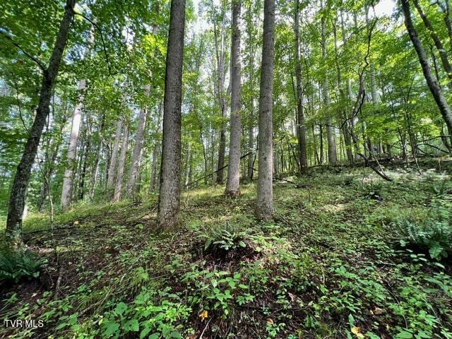 337 Heaton Creek Rd, Roan Mountain, TN 37687