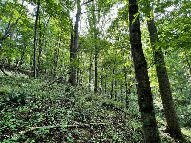 337 Heaton Creek Rd, Roan Mountain, TN 37687