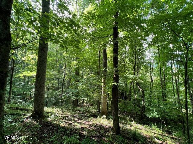 337 Heaton Creek Rd, Roan Mountain, TN 37687