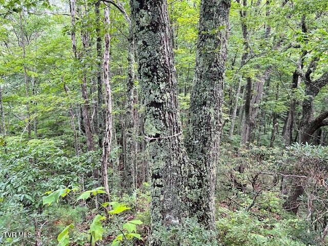 337 Heaton Creek Rd, Roan Mountain, TN 37687