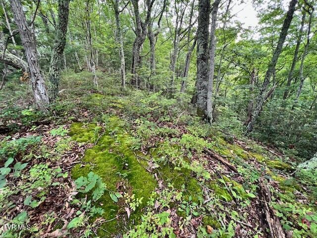 337 Heaton Creek Rd, Roan Mountain, TN 37687