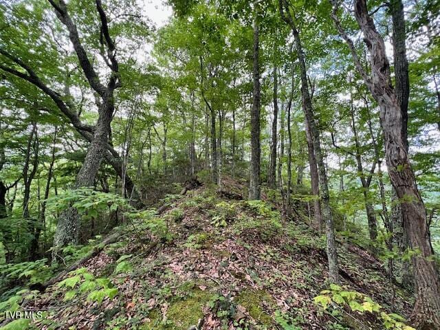 337 Heaton Creek Rd, Roan Mountain, TN 37687