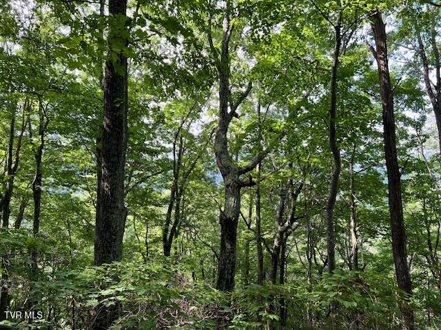337 Heaton Creek Rd, Roan Mountain, TN 37687