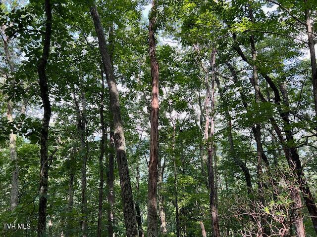 337 Heaton Creek Rd, Roan Mountain, TN 37687