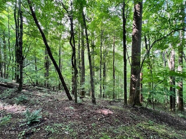 337 Heaton Creek Rd, Roan Mountain, TN 37687