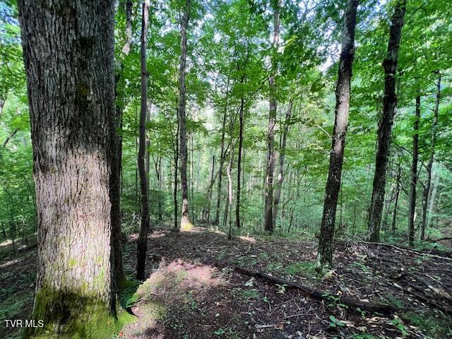 337 Heaton Creek Rd, Roan Mountain, TN 37687