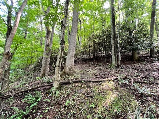 337 Heaton Creek Rd, Roan Mountain, TN 37687