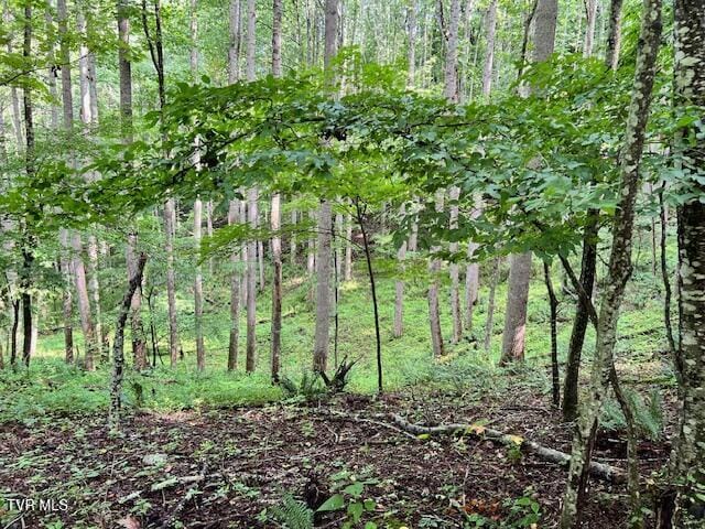 337 Heaton Creek Rd, Roan Mountain, TN 37687