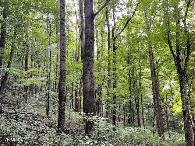 337 Heaton Creek Rd, Roan Mountain, TN 37687