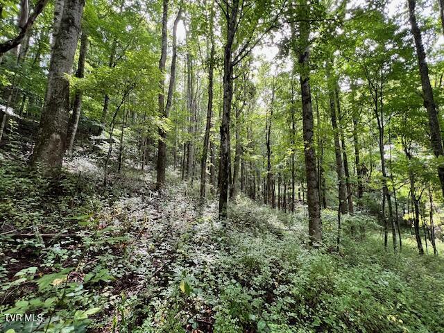 337 Heaton Creek Rd, Roan Mountain, TN 37687
