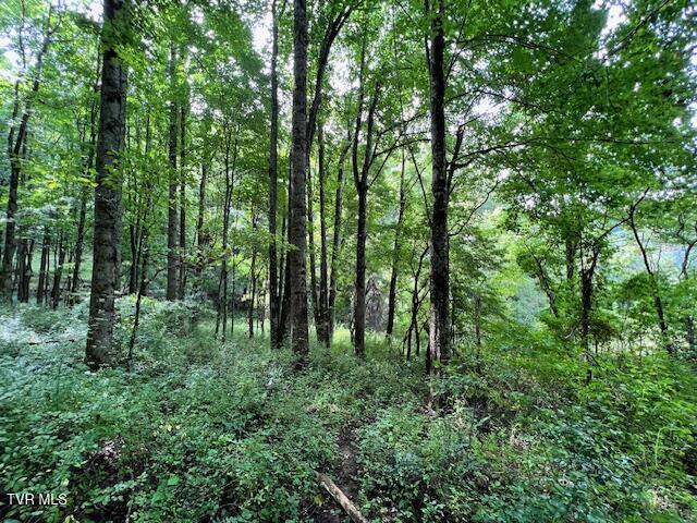 337 Heaton Creek Rd, Roan Mountain, TN 37687